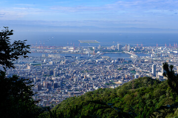 Fototapeta na wymiar 梅雨明けの爽やかな朝、六甲山の中腹七兵衛山より神戸市街、六甲アイランドを望む。遠景は大阪湾と大阪南港が見える