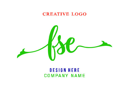 FSE lettering logo is simple, easy to understand and authoritative