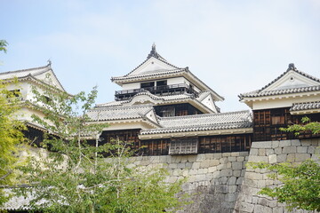 Obraz premium Matsuyama Castle in Ehime, Japan - 日本 愛媛県 松山市 松山城 天守閣