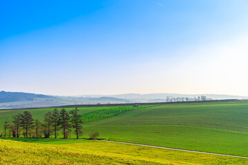 Rural scenery under blue sky and white clouds, crop plantations. The various yellow and red plants are particularly beautiful.
