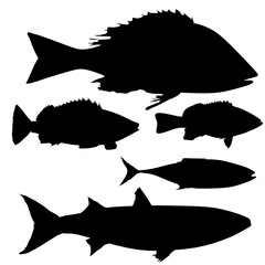Set with a silhouette of different fish isolated on a white background. Side view. Vector illustration