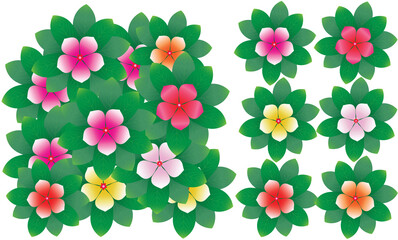 Set of vector compositions from Catharantus Roseus Don Flower. for wedding concept - flowers, Floral posters, vector arrangements for greeting card or invitation design, and other.