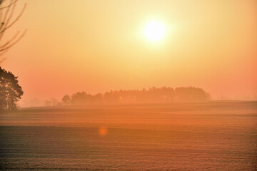 Naklejka premium misty sunrise over the forest and fields 