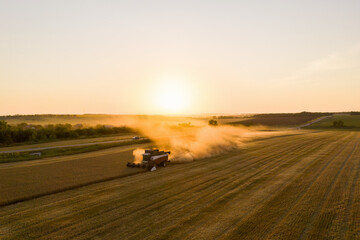 Combine harvester on the field at sunset. Aerial view