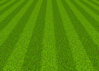 Soccer field grass
