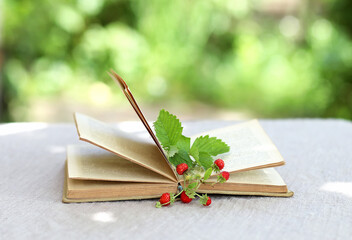 Enjoy the little joys - inspiration quote. pretty berries of strawberry on open book on garden table, summer garden scene. gently nature composition.