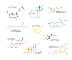 Set of chemical hormones formulas. Hand-drawn doodle colorful illustrations with inscriptions. Symbols for biology, chemistry, naturopathy, medicine. Isolated on white.