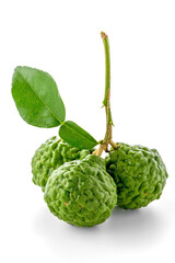 Bergamot  white background
