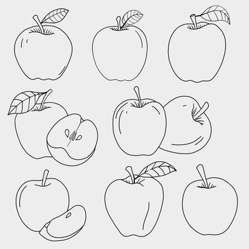 Doodle freehand sketch drawing of apple fruit.