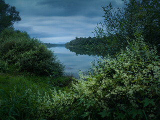 Fototapeta na wymiar Scenic view of flowering bush on riverbank of Sava river and mountain Motajica in distance during overcast summer evening