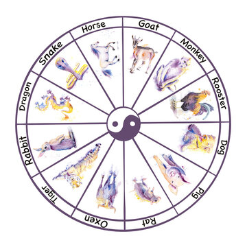 round chinese calendar watercolor animals with years