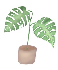 Monstera in the pot , easy and simple life , illustration of a plant , art of cartoon 