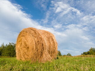 Country scene with single hay roll bale in field against cloudy sky during sunny summer day, cattle fodder over winter time