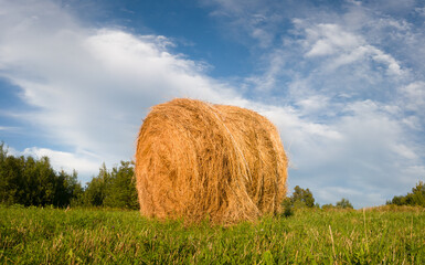 Country scene with single hay roll bale in field against cloudy sky during sunny summer day, cattle fodder over winter time