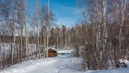 A snow-covered path in a birch grove goes down the hill. Snowdrifts lie on the roadside. Ahead is a wooden guard house, a barrier. Blue sky. Sunny winter day. Siberia