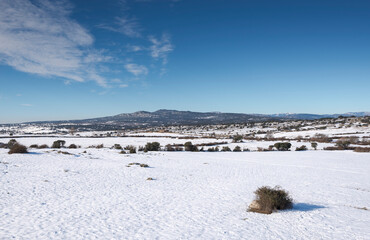 Snowy landscape in the municipality of Colmenar Viejo, Spain, after the storm Filomena