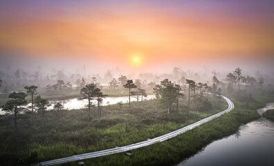 Colorful morning sunrise over the bog of national park of Ķemeri. Wooden trail leading through wetlands covered in fog.  - obrazy, fototapety, plakaty