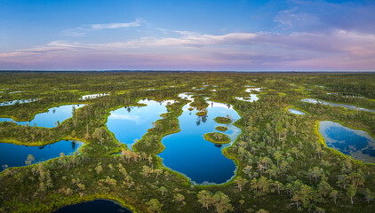 Colorful morning sunrise over the bog of national park of Ķemeri. Wooden trail leading through...