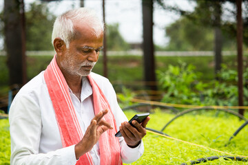 Indian Farmer busy using mobile phone while sitting in between the crop seedlings inside greenhouse or poly house - concept of farmer using technology and internet
