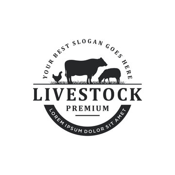 Vintage livestock logo design, vector concept illustration