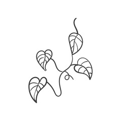 vintage floral elements doodle vector. Elements flowers, branches, swashes and flourishes