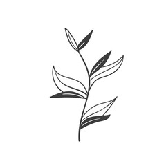 Hand Drawn Botanical Leaf Doodle Wildflower