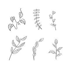 Set of vintage floral elements doodle vector. Elements flowers, branches, swashes and flourishes