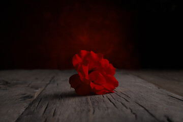 a lonely rose on a vintage table