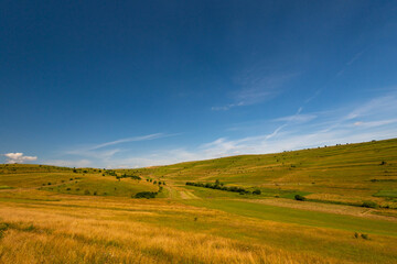 Aged, yellow grass in the small valley on a hot summer day, deep blue sky in the background.