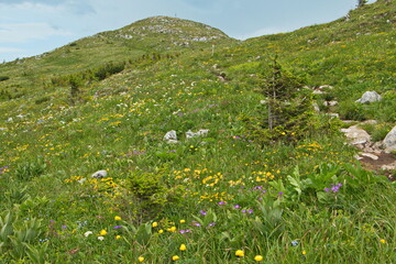 Summit of Oetscher in Austria, Europe
