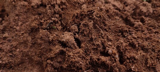 texture of a stone Sand 