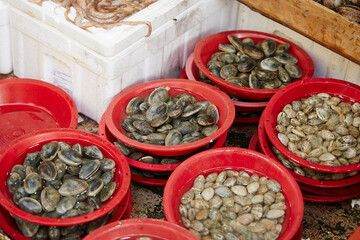 Fresh clams displayed in a traditional market 