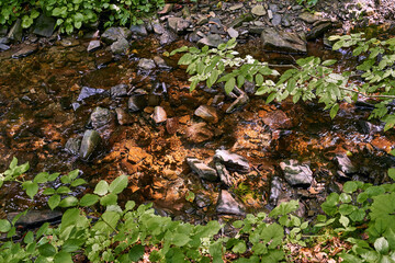 Top view of a small mountain stream river running in a shadowy forest