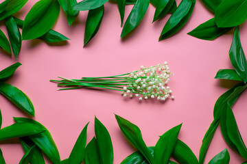 Bouquet of lilly of the valley with green leafes as a floral frame. Flat lay with pink background. 