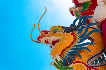 chinese dragon in chinese temple