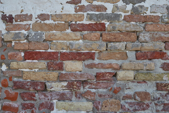 845 Best Brock Images Stock Photos Vectors Adobe Stock