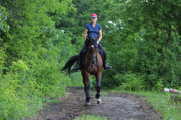 Equestrian woman riding horse in summer nature