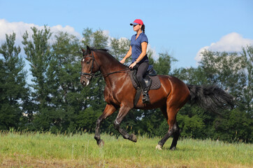 Equestrian woman riding horse in summer nature