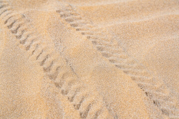 Fototapeta na wymiar SUV footprint in the sand