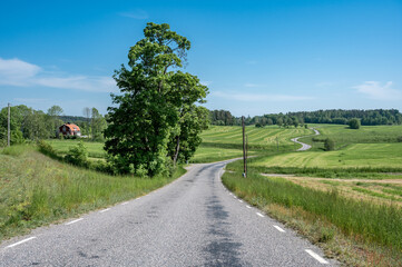 Winding road in the countryside of Södermanland during summer in Sweden