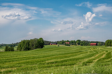 Sunny summer day in the countryside of Södermanland Sweden - 445718876