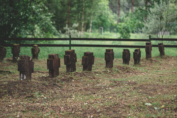 world war brother cemetery in Latvian countryside. Crosses overgrown with moss stadds in line. Dead german soldiers graves in Europe. Fence and forest in background.