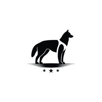 siberian husky dog with chest strap belt logo design vector illustration