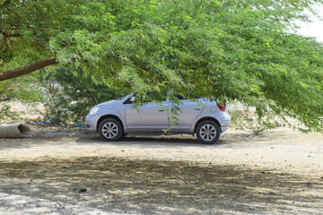 Car under the tree landscape background, nature flora parking wheel transport