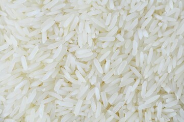 Raw rice, background authentic jasmine rice, specially selected