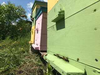 row of yellow and green cars