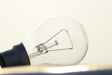 light bulb on white background