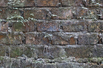 old brick wall that has mossed in the tropics