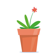 Cute green potted plant in flat style. Vector illustration.