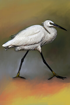 Illustration of heron on colorful background